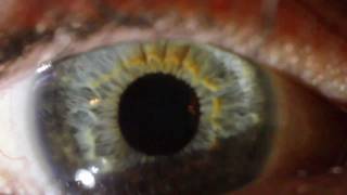 Timber Timbre - Creep On Creepin&#39;On