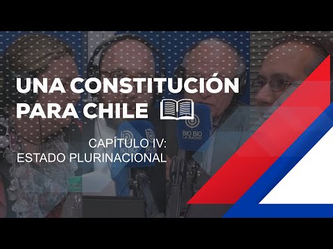 Capítulo IV: Estado Plurinacional | Una Constitución para Chile