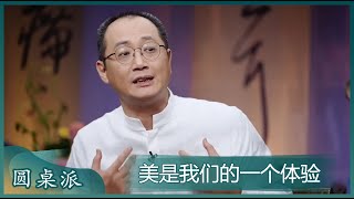 邱志杰：美是我们的一个体验 ！窦文涛：美不是愉悦！#圆桌派 #窦文涛