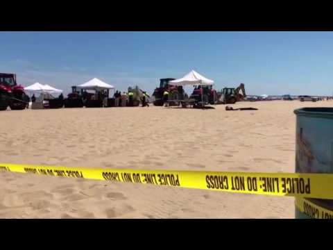 Plano woman found dead on Maryland beach