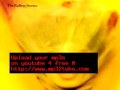 Unknown Artist - Track 8 