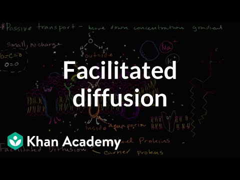 Facilitated Diffusion β Definition & Types - Expii