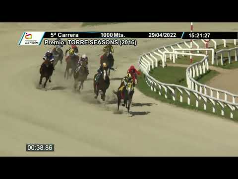 220429 c05 - TROVADOR HIT (ARG) - HIPODROMO LAS PIEDRAS