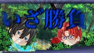 ゆっくり戦闘シーン