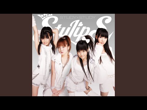 Study X Study - Stylips