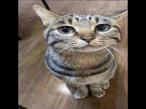 Punchmade Dev Scam Brothers DJ ESS MIXXX SLOWED