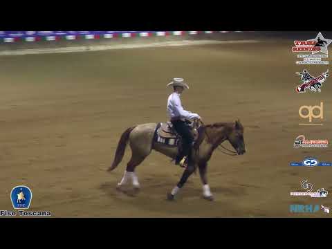 1 tappa TRHA 2024 - VESPESIANI MATTEO & BQH CHEX STAR WHIZ score 71