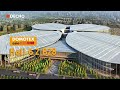 DOMOTEX Asia 2025 Flooring And Wall Panels Exhibitor DECNO