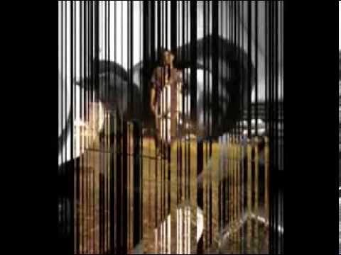 macbee - muammar forever arini pilihanmu