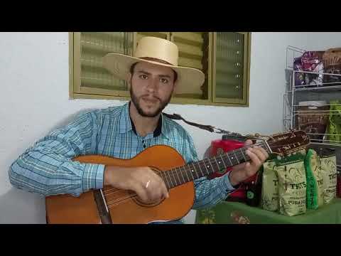 Defendendo A Viola - Rick Viola