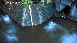一里塚橋映像監視局
