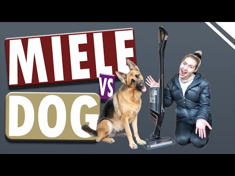 Miele Triflex HX1 Cat & Dog 3-in-1 cordless stick vacuum review from a GERMAN SHEPHERD owner | Miele