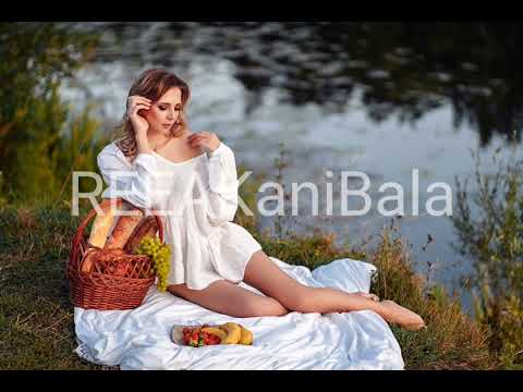 Dj Artush Ft. Ani L - Ha Nina (Turbo Remix)