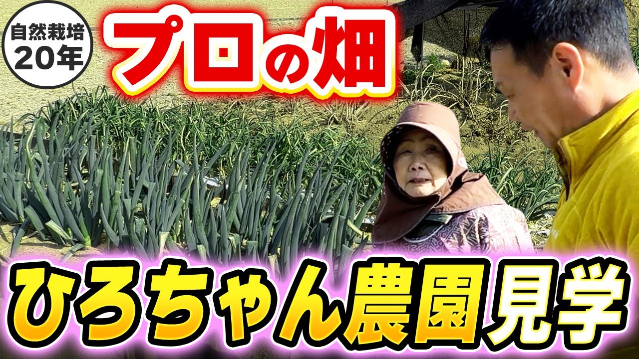 高知の知恵が詰まった畑を巡る|ひろちゃん農園ファームツアーからの学び