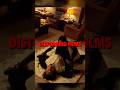 The Most Disturbing Movies Of All Time Audition 1999