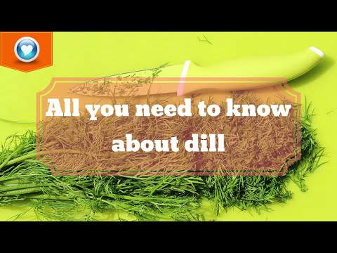 , title : 'All You Need to Know About Dill | ¡Todo lo que necesitas saber sobre el eneldo!'