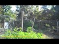 Living Off The Grid 374