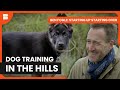 From City Life To Rural Scotland Ben Fogle Starting Up Starting Over