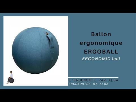 Кресло-шар Aoke ErgoBall Ø65cm (Цвет чехла: черный) - фото 1 - id-p2295563504