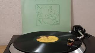 Stevie Wonder - Power Flower - 1979