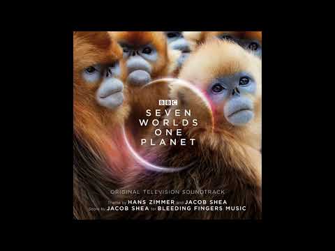 Albatross Facing Extinction | Seven Worlds One Planet OST