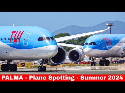 [PALMA DE MALLORCA] 40 minutes, HOT PLANE SPOTTING SUMMER 2024 ⛱ 🇪🇸