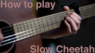 Frusciante Fingerpicking Lesson - Slow Cheetah