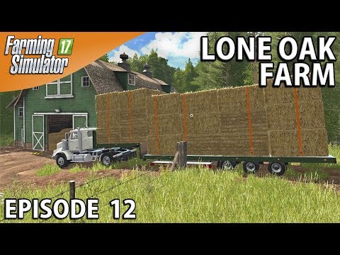 Farming Simulator 17 Timelapse - Lone Oak Farm Episode 12 LAST LOAD OF STRAW