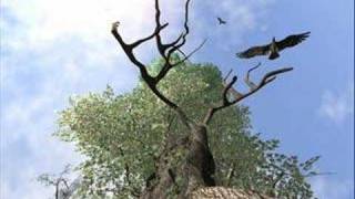 dernière journée en mer