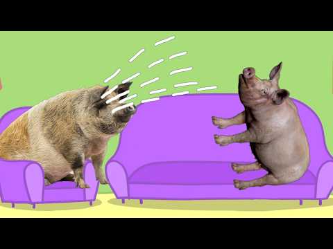 Real life Peppa Pig Parody Episode #9