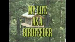 My Life as a Bird Feeder