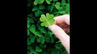 Curiosity &amp; Breeze / Turnover