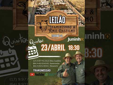 Leilão Parceria SR de Itarumã-GO, Kiko Castilho e Itamirzinho