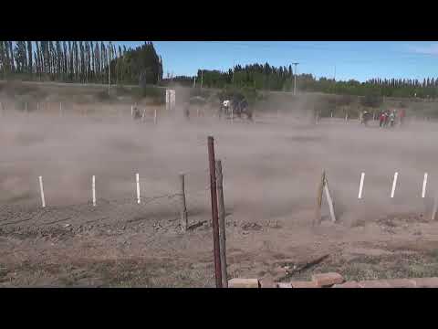 LOCO SIMON Club Hípico "El Chiripa" - Villa Regina - Rio Negro - 29-10-2023