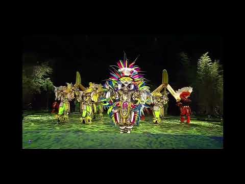 Golden Crown NYB 2023 Wild Brazil!