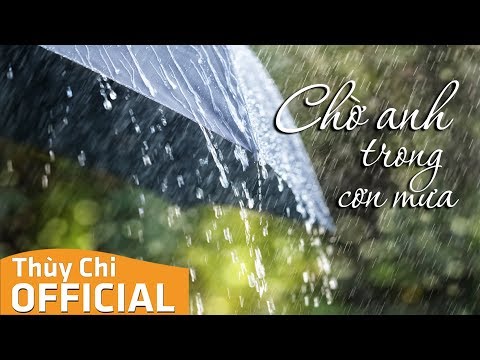 Chờ anh trong cơn mưa - Thùy Chi