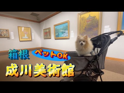 YouTube動画を再生