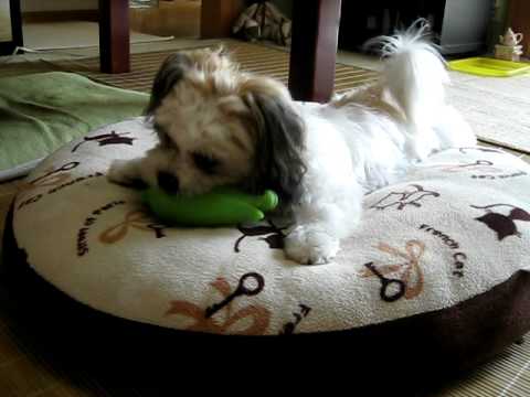 １番のお気に入り