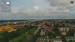 4K 🐬 Jūros gyvybė saulėtekio šviesoje • Birželio 12 d. • Penktadienio gyvybė