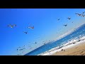 Prelude   -   Vangelis - Mauro Lucio Prelude   -   Vangelis