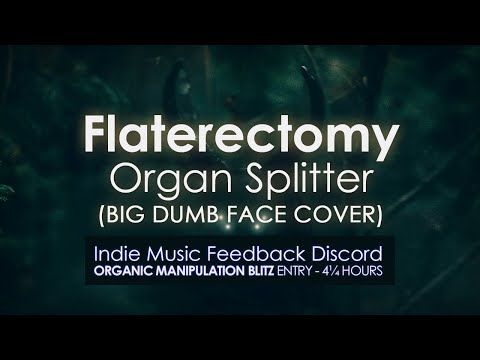 Flaterectomy - Organ Splitter (Big Dumb Face cover)
