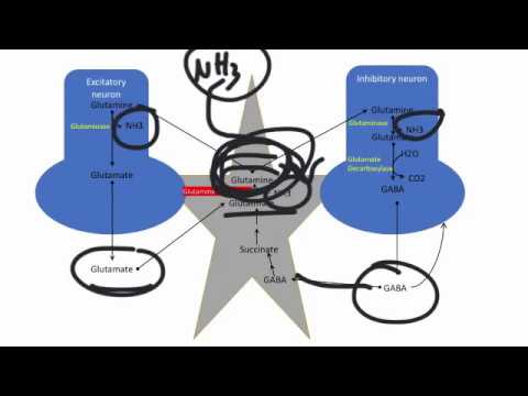 Hypertensive Krise 2 Notfallversorgung Losartan und Valsartan Kontrast