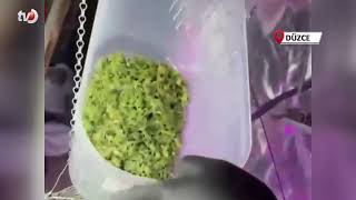 Ev Uyuşturucu Serasına Dönmüş