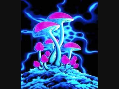 Ex-Gen Vs. Absolum - High In Chicago