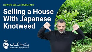 How To Sell A House With Japanese Knotweed | Mark King Properties