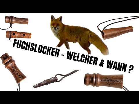 FUCHSJAGD  🦊 WELCHER LOCKER & WANN?  #fuchsjagd
