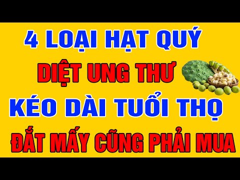 , title : 'Phát Hiện Loại Hạt BỔ GẤP 100 LẦN NHÂN SÂM THUỐC BỔ, Thế Giới Săn Lùng Vậy Mà Người Việt Lại Bỏ Phí'