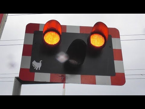 Railway Crossing - Sandymount Avenue, Dublin