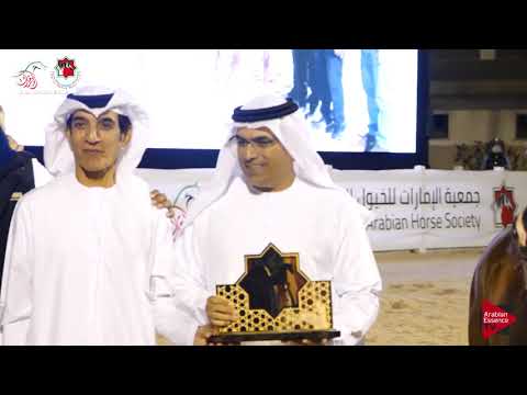 N.32 D A'ASALEYYAH - UAE Nationals 2019 - Yearling Fillies Championship