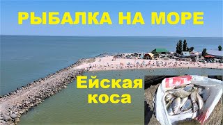 Рыбалка на азовском море в ейске